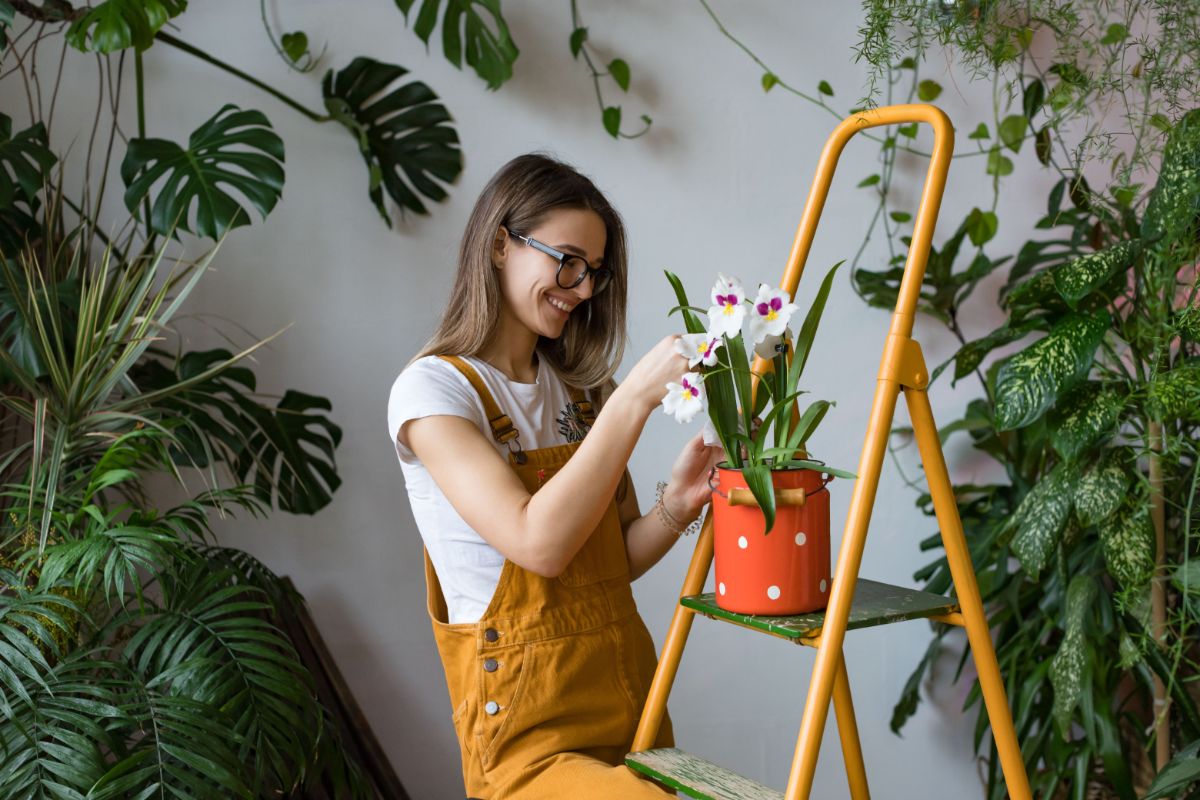 A gardener on a ladder with indoor plants