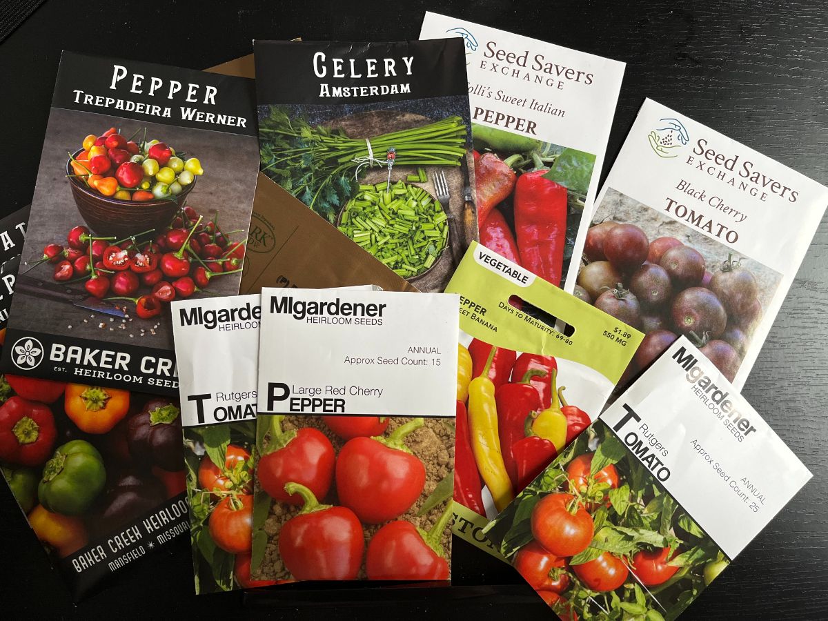 New seeds for a new garden year