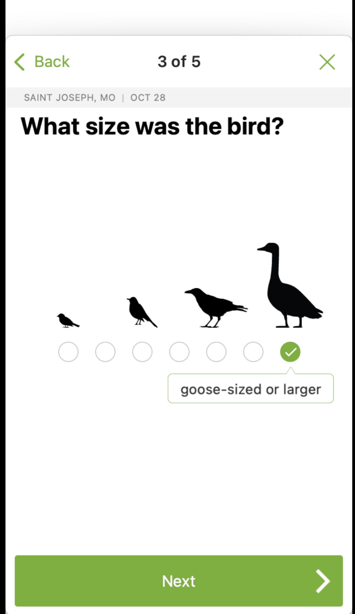 Size used to identify a bird