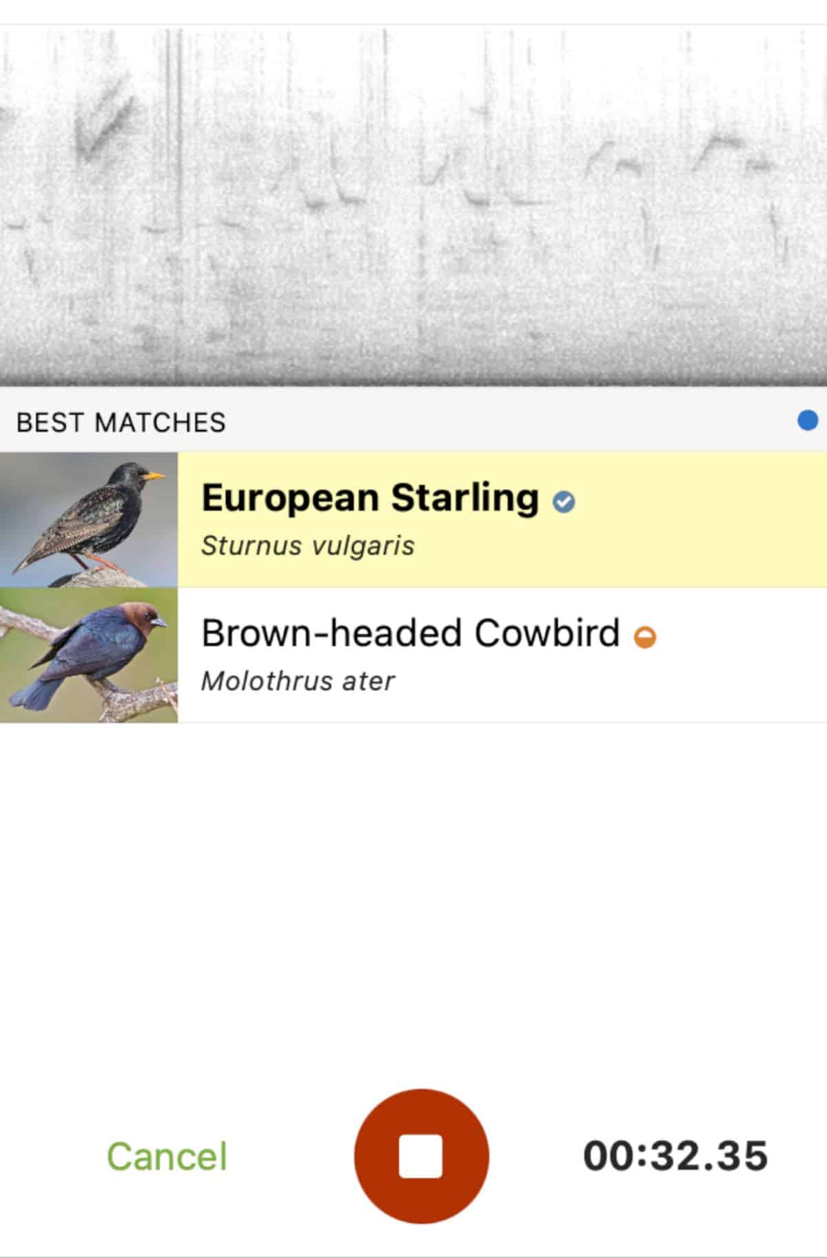 Showing how mimicking birds can confuse the app