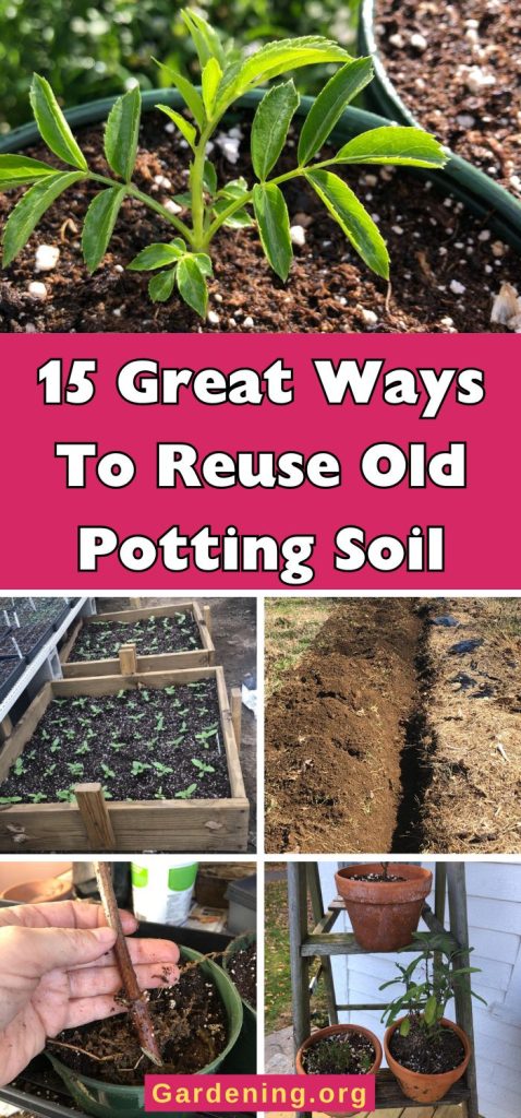 15 Great Ways To Reuse Old Potting Soil pinterest image.