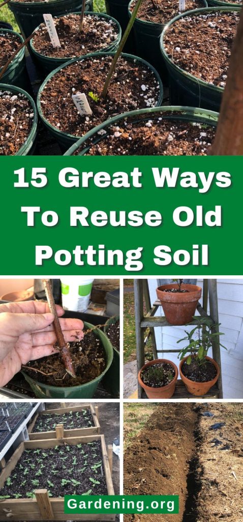 15 Great Ways To Reuse Old Potting Soil pinterest image.