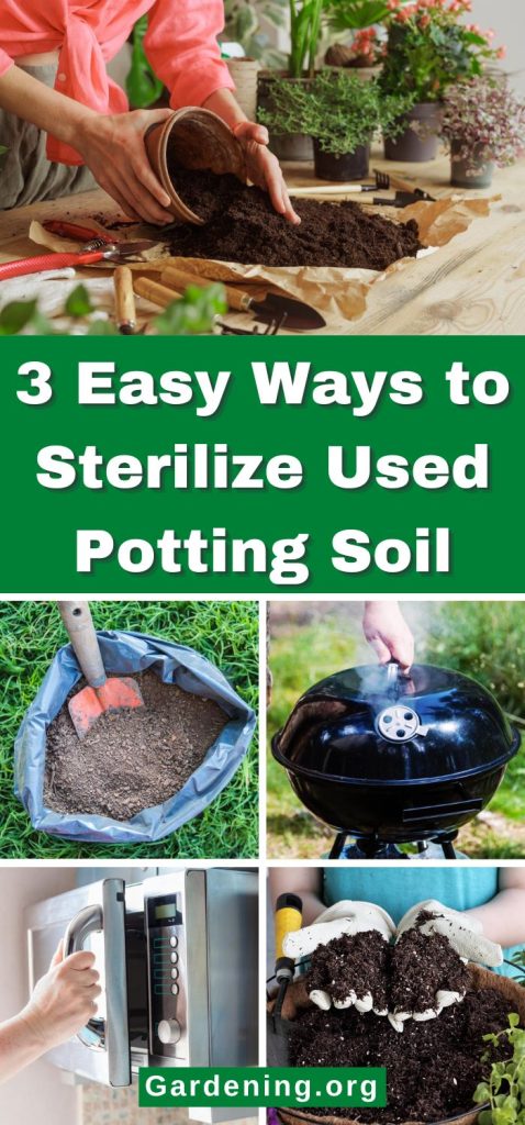3 Easy Ways to Sterilize Used Potting Soil pinterest image.