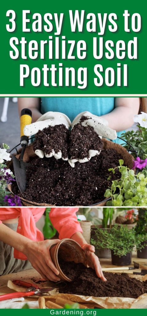 3 Easy Ways to Sterilize Used Potting Soil pinterest image.
