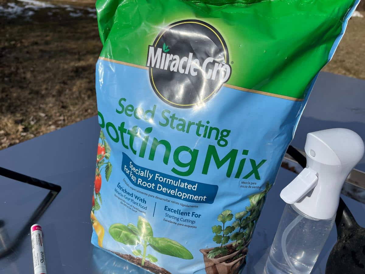 Seedling soil and a mister for starting cold stratification germination pots