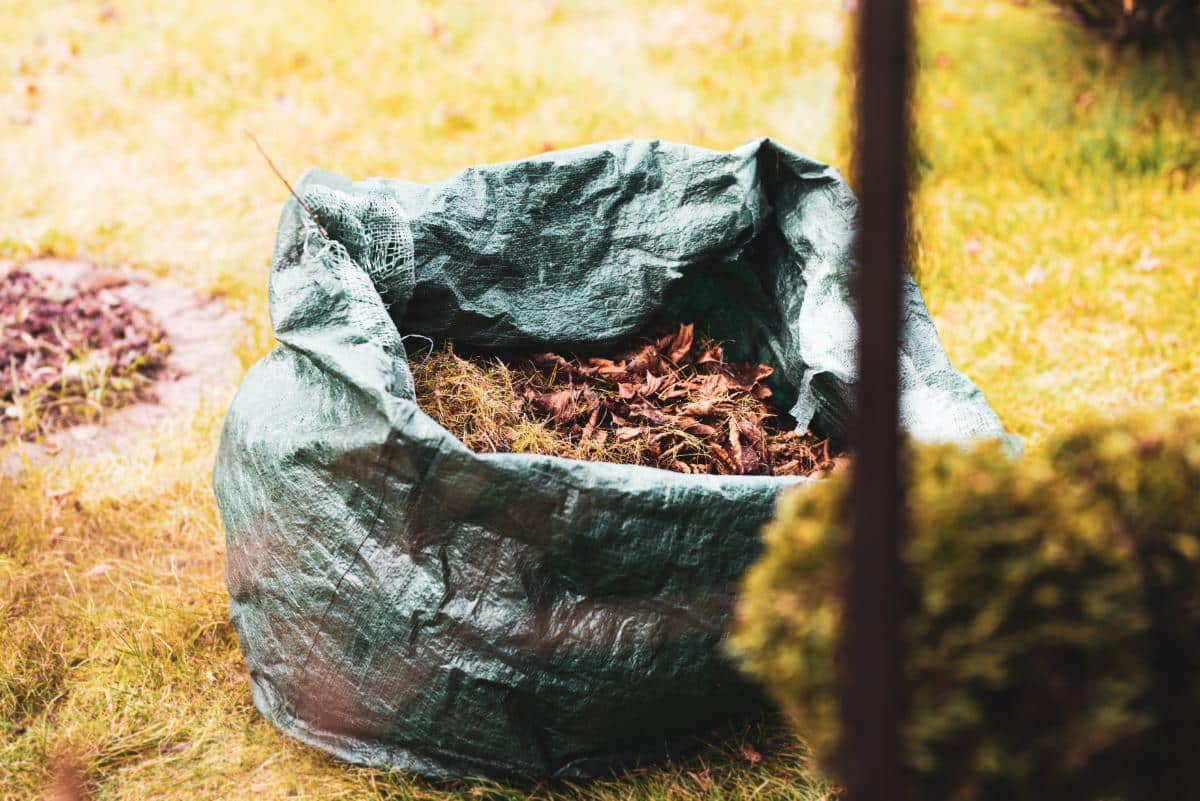 Bags of leaf litter being used in the garden