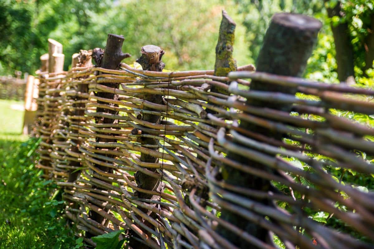 Woven fencing made from natural materials