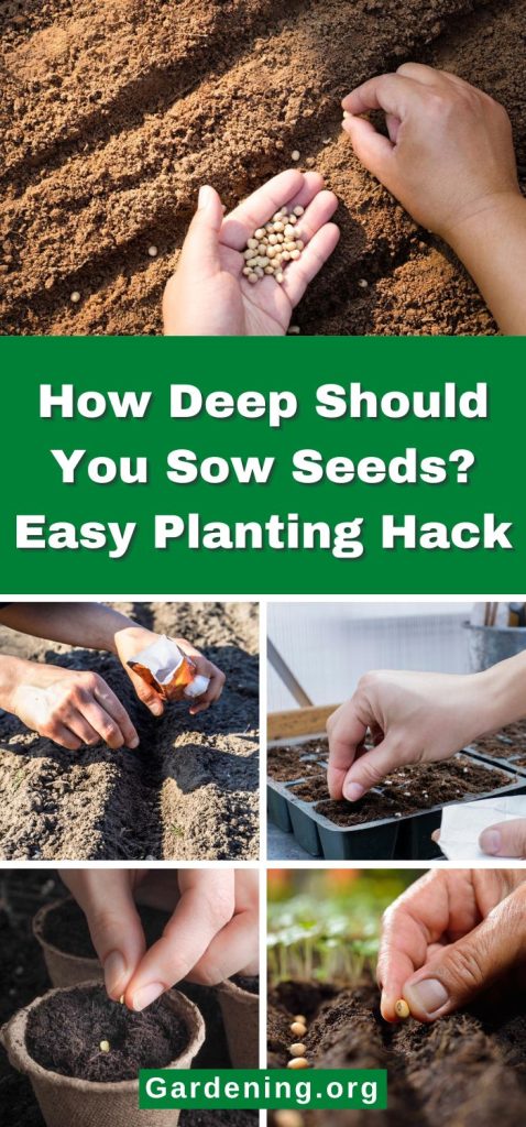 How Deep Should You Sow Seeds? Easy Planting Hack pinterest image.