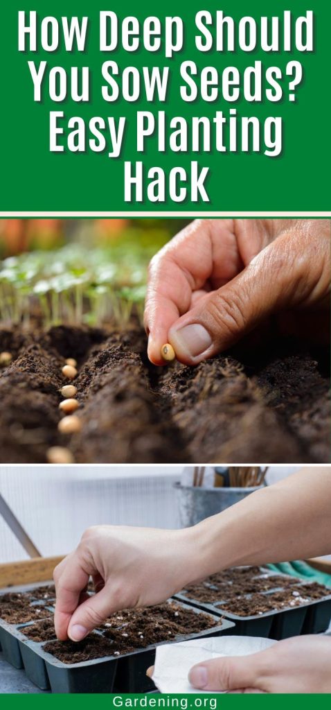 How Deep Should You Sow Seeds? Easy Planting Hack pinterest image.