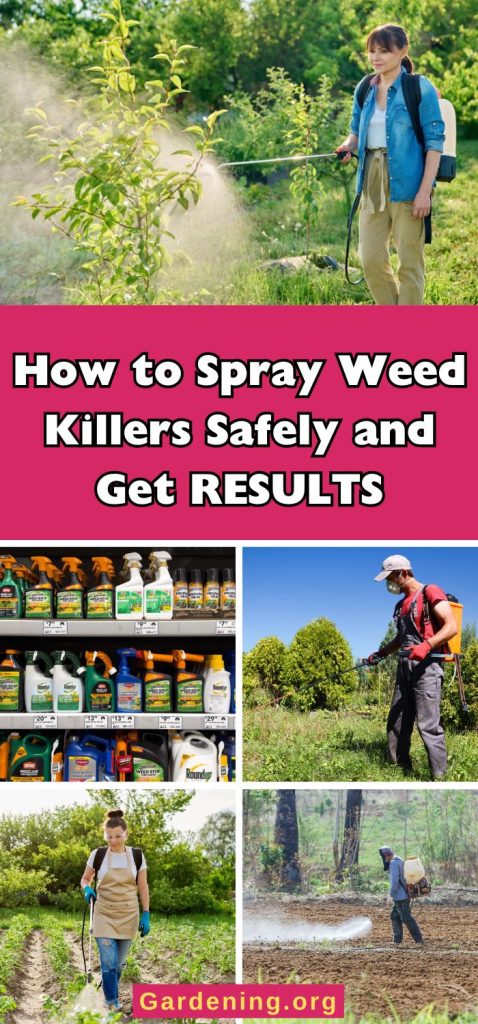 How to Spray Weed Killers Safely and Get RESULTS pinterest image.
