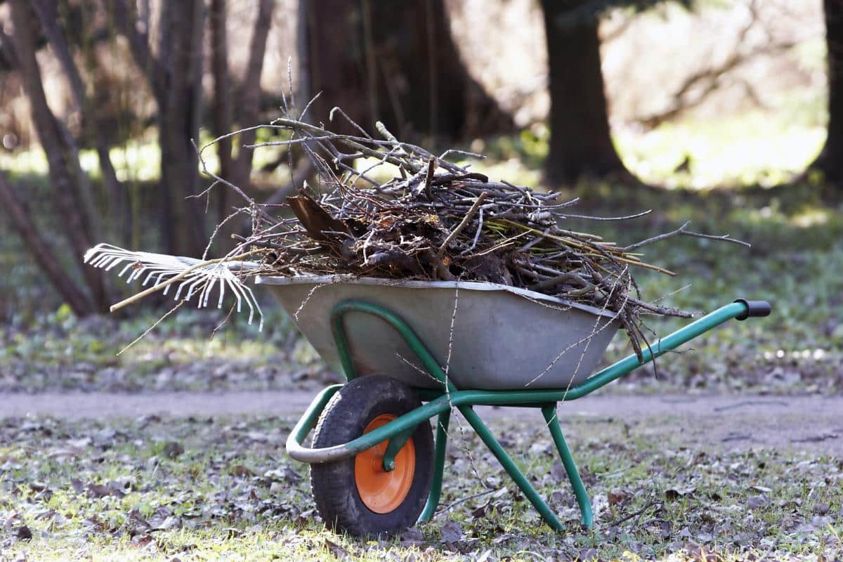 A pile of yard waste being moved to protect pollinators during spring cleaning