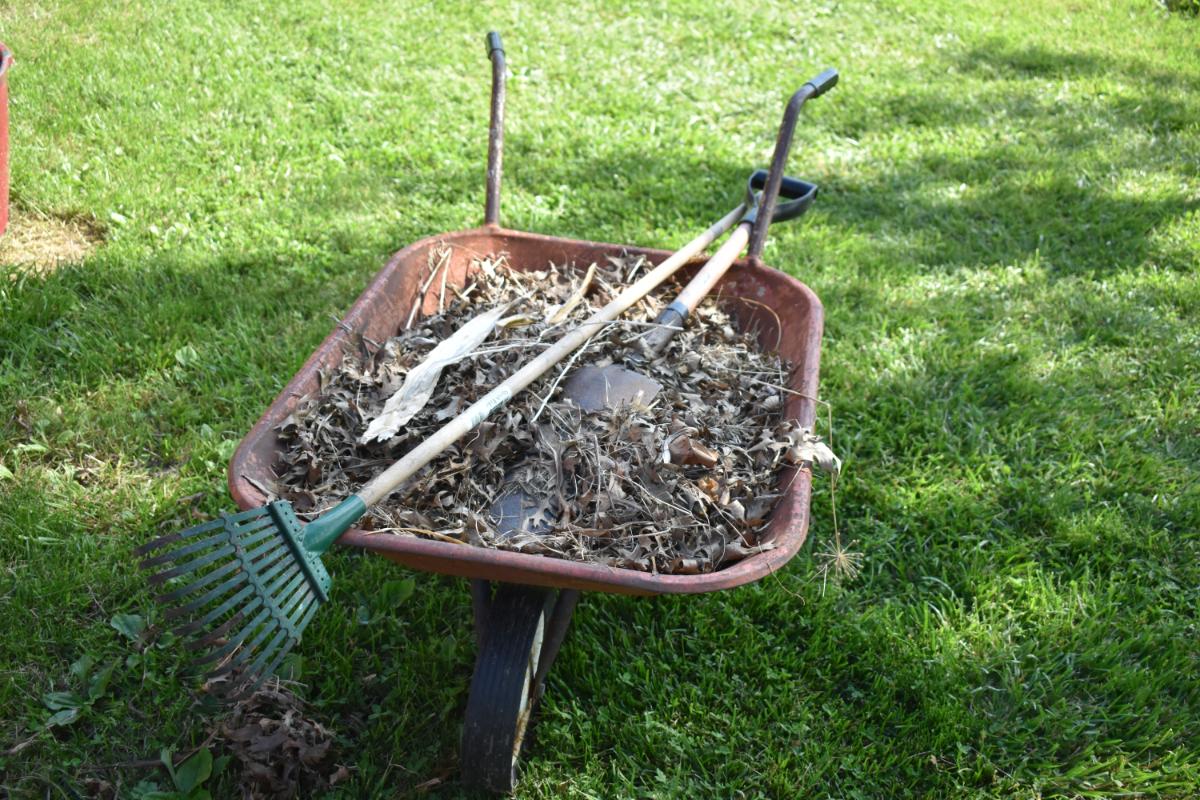 Cleaning up perennial beds in spring