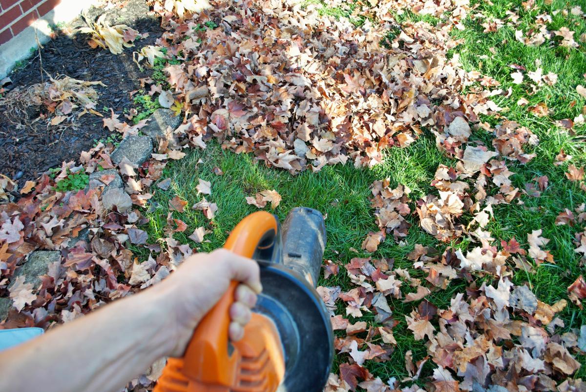 Using a leaf blower for delayed spring cleanup