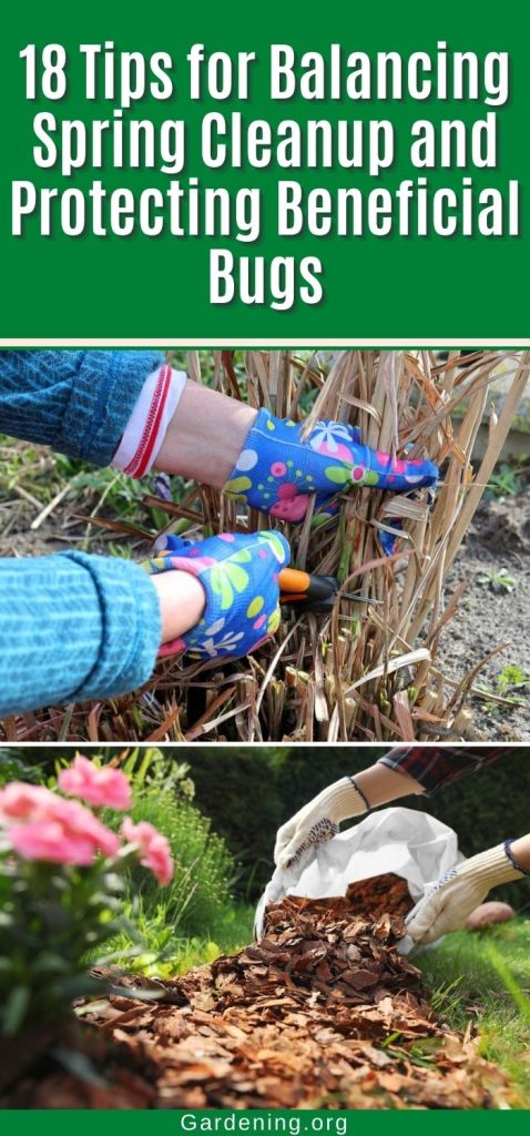 18 Tips for Balancing Spring Cleanup and Protecting Beneficial Bugs pinterest image.