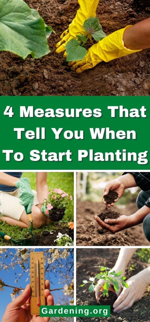 4 Measures That Tell You When To Start Planting pinterest image.