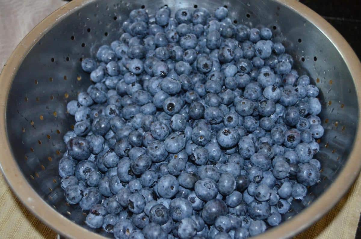 A colander of cleaned fresh blueberries
