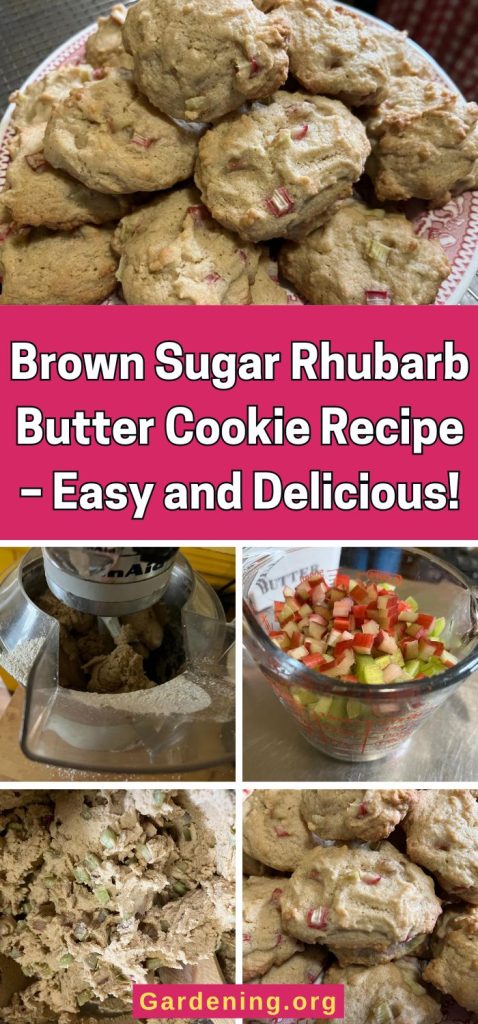 Brown Sugar Rhubarb Butter Cookie pinterest image.