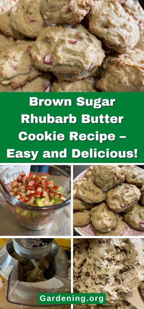 Brown Sugar Rhubarb Butter Cookie pinterest image.