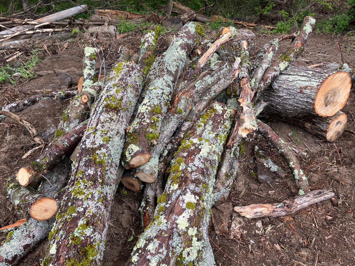 Wood logs for raised bed filler