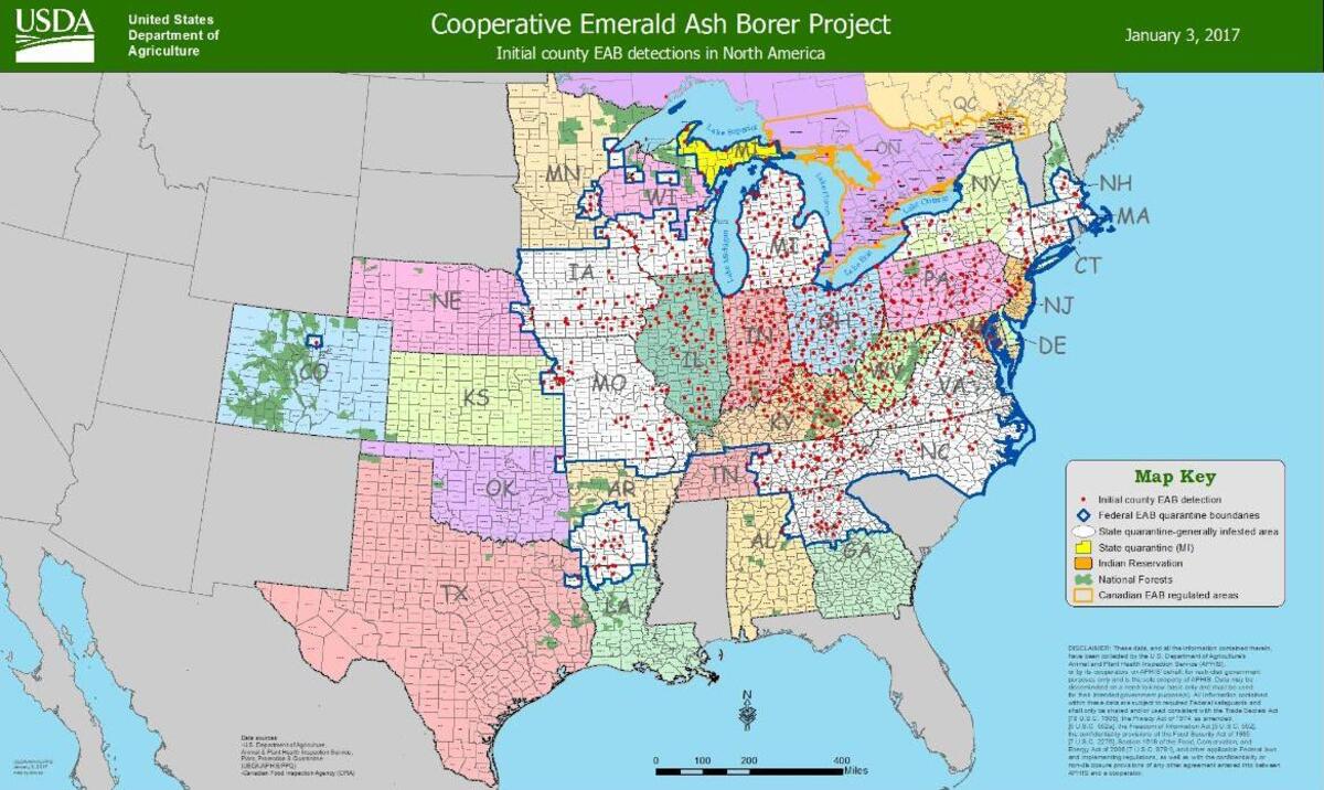 Map of Emerald Ash borer spread