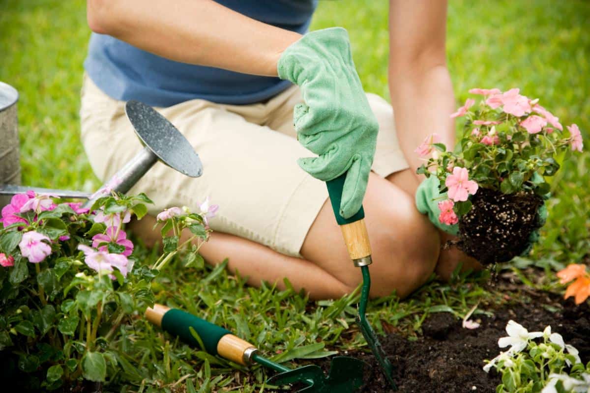 A woman planting a garden