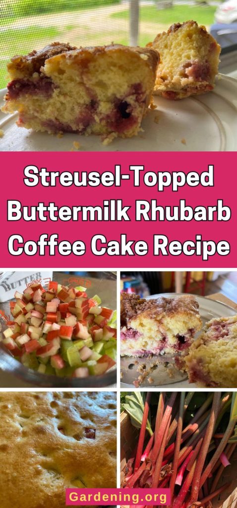 Streusel-Topped Buttermilk Rhubarb Coffee Cake Recipe pinterest image.