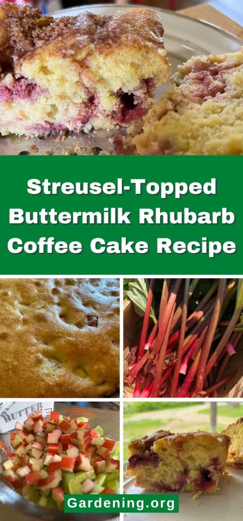 Streusel-Topped Buttermilk Rhubarb Coffee Cake Recipe pinterest image.