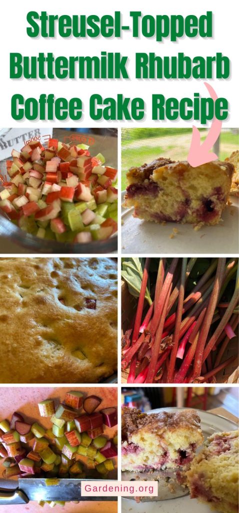 Streusel-Topped Buttermilk Rhubarb Coffee Cake Recipe pinterest image.