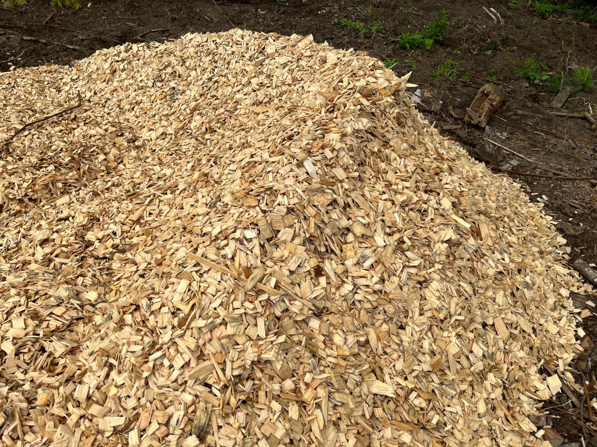 Wood chips in a pile