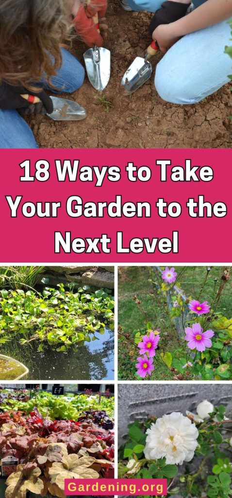 18 Ways to Take Your Garden to the Next Level pinterest image.