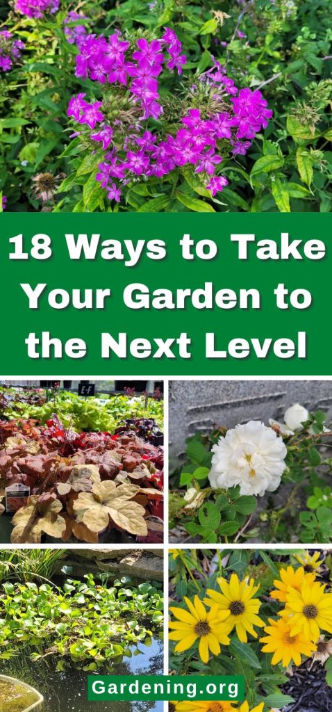 18 Ways to Take Your Garden to the Next Level pinterest image.