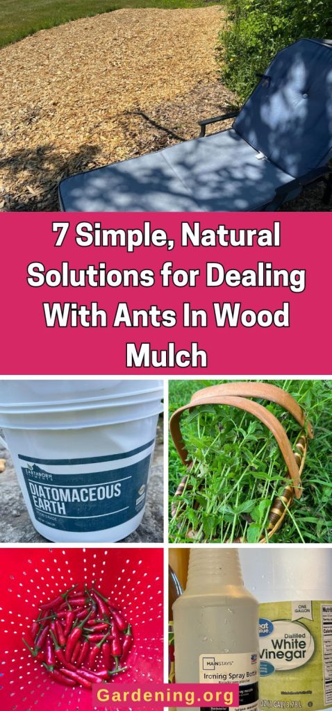 7 Simple, Natural Solutions for Dealing With Ants In Wood Mulch pinterest image.