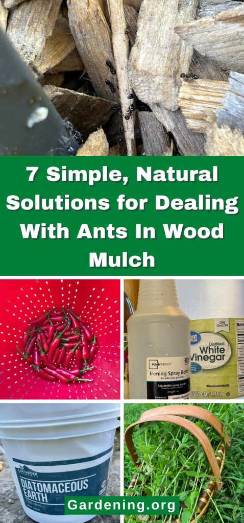 7 Simple, Natural Solutions for Dealing With Ants In Wood Mulch pinterest image.