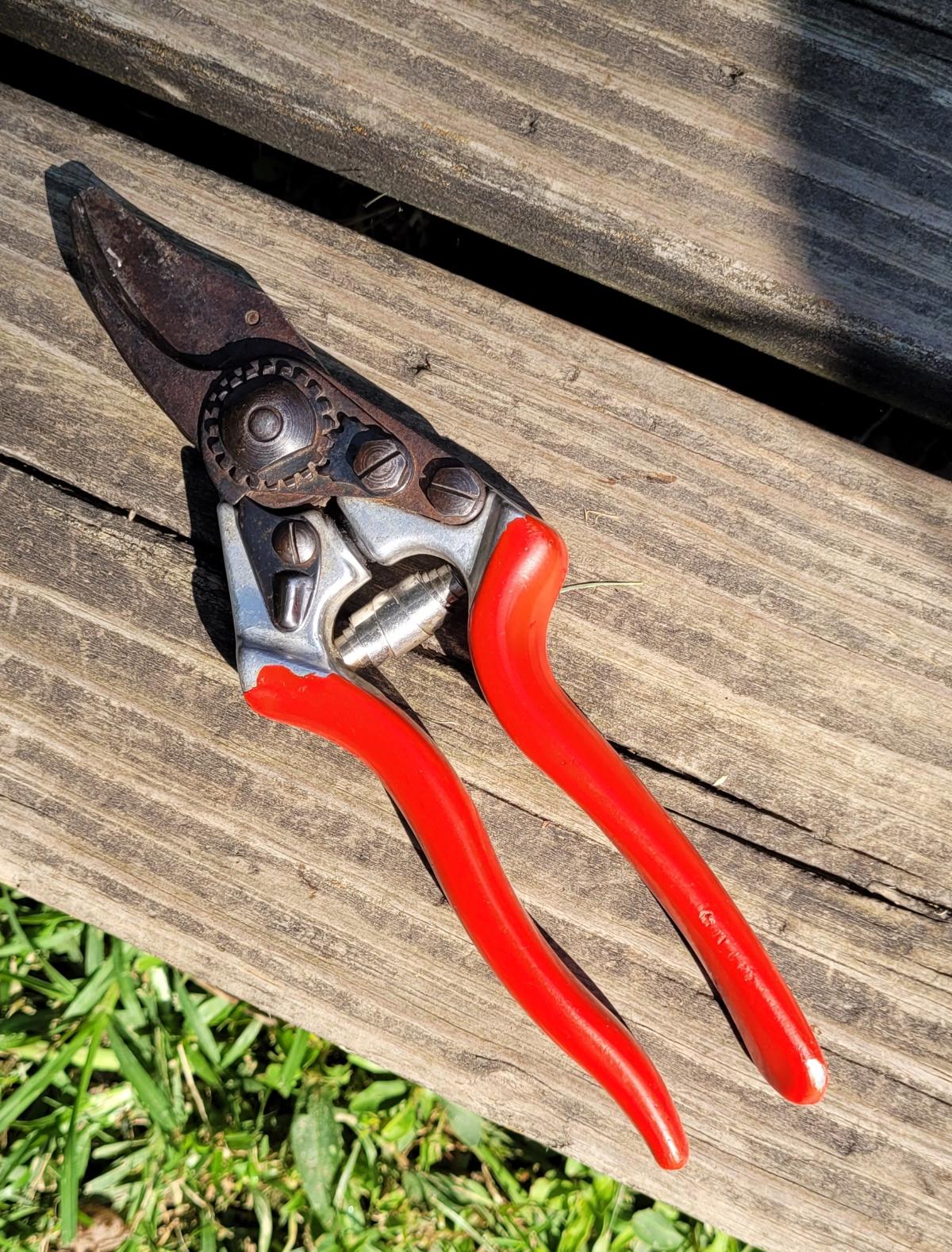 Pair of garden pruners