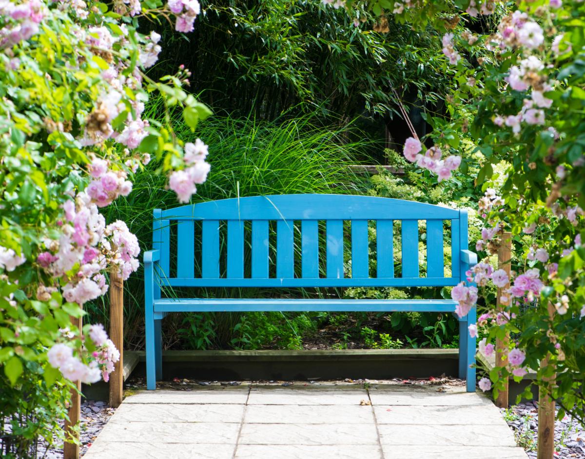 A nice bench in a perennial garden