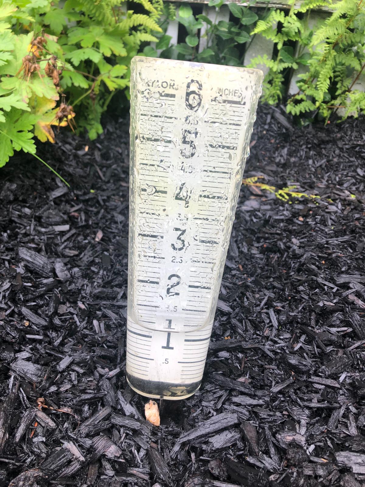 A rain gauge in a garden