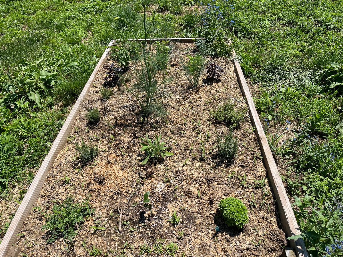 Mulch in a raised garden bed