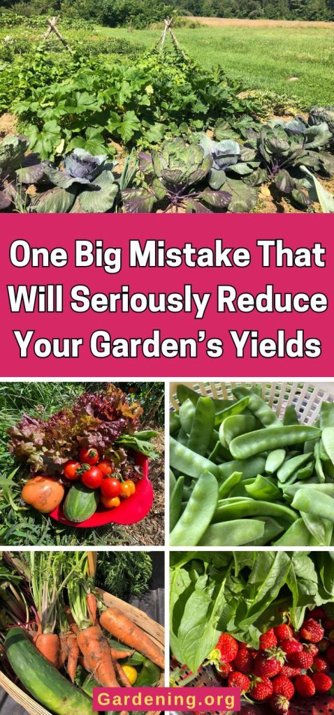 One Big Mistake That Will Seriously Reduce Your Garden’s Yields pinterest image.