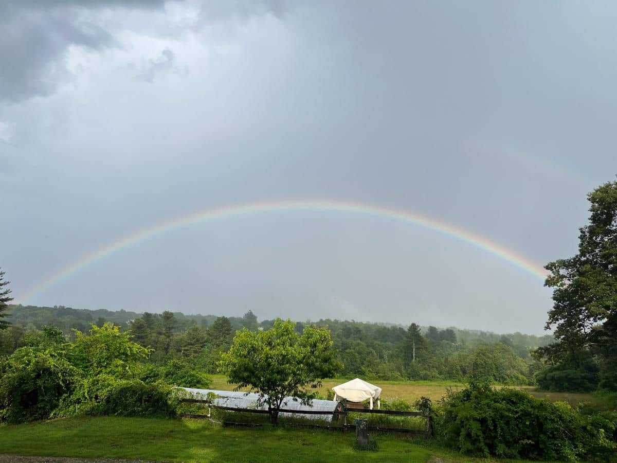 A rainbow over a garden