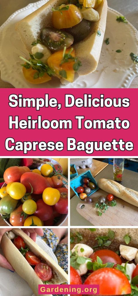Simple, Delicious Heirloom Tomato Caprese Baguette pinterest image.