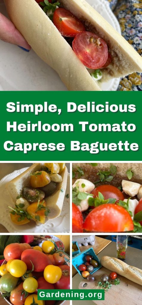 Simple, Delicious Heirloom Tomato Caprese Baguette pinterest image.
