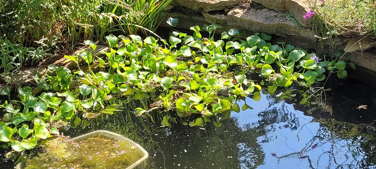 Garden water feature