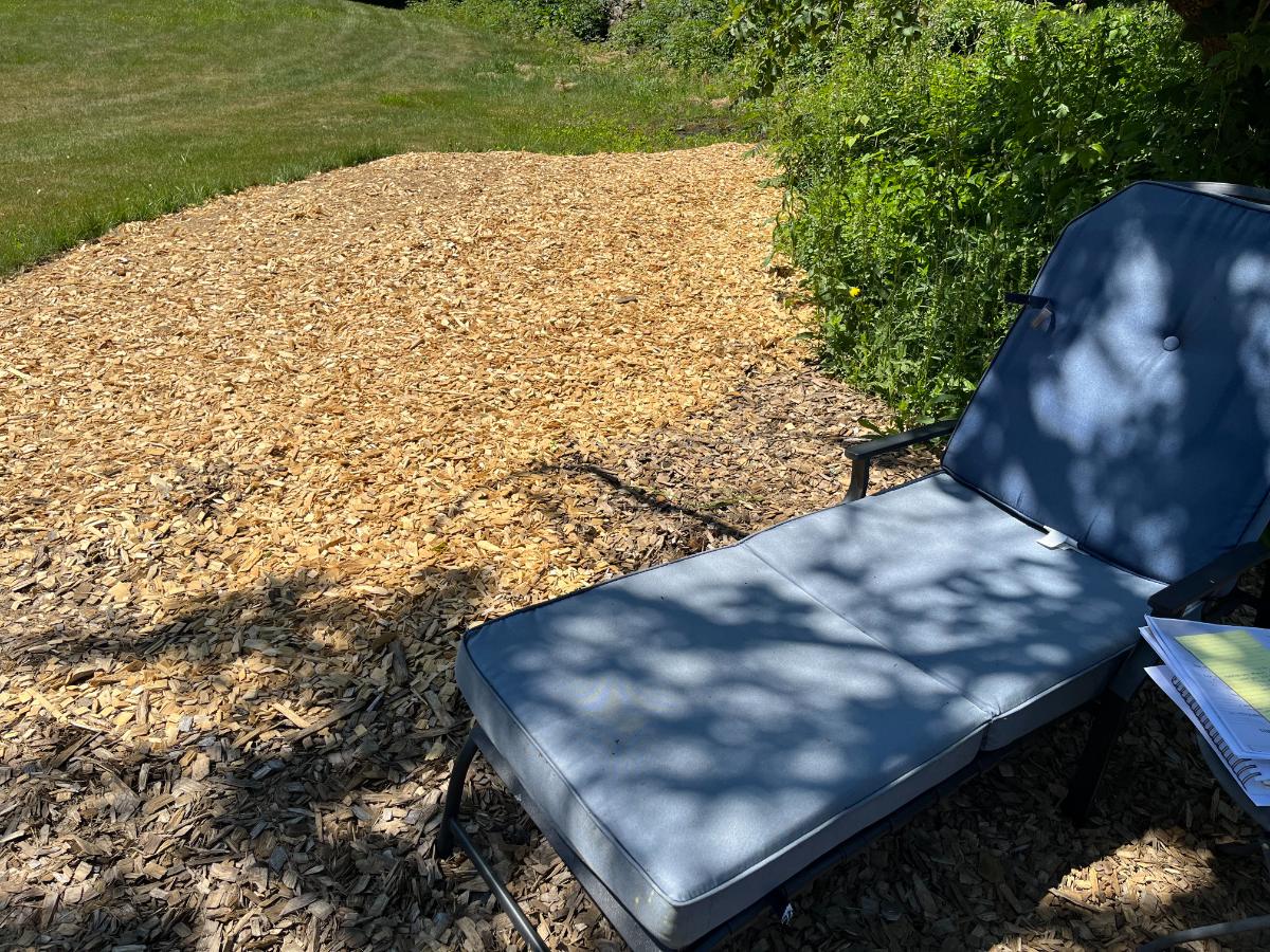 A chaise lounge in a shaded mulched area