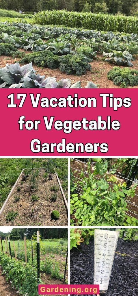 17 Vacation Tips for Vegetable Gardeners pinterest image.