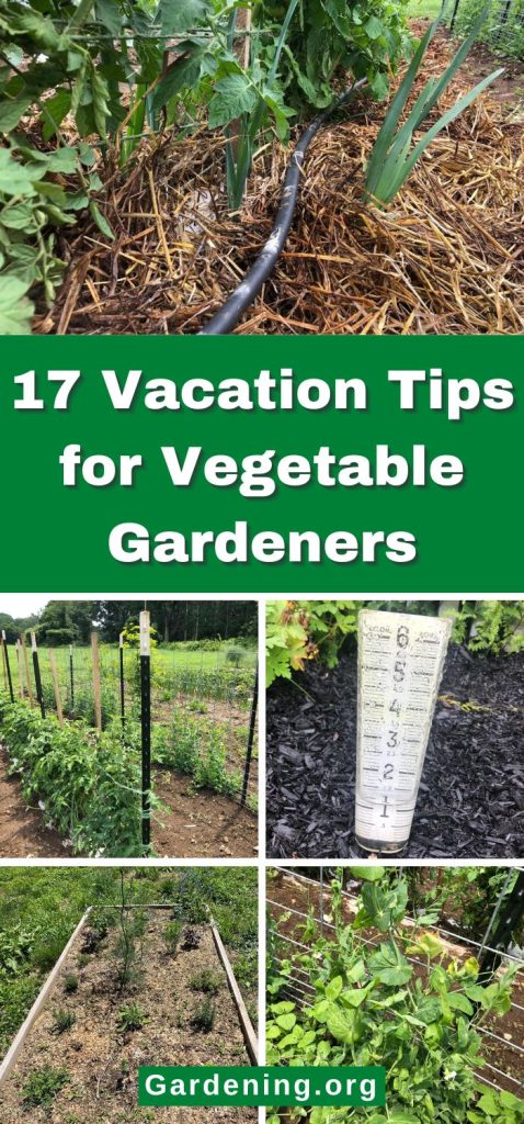 17 Vacation Tips for Vegetable Gardeners pinterest image.