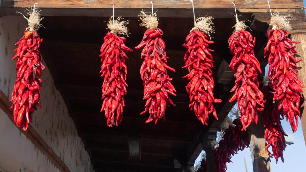 Strings of drying hot peppers