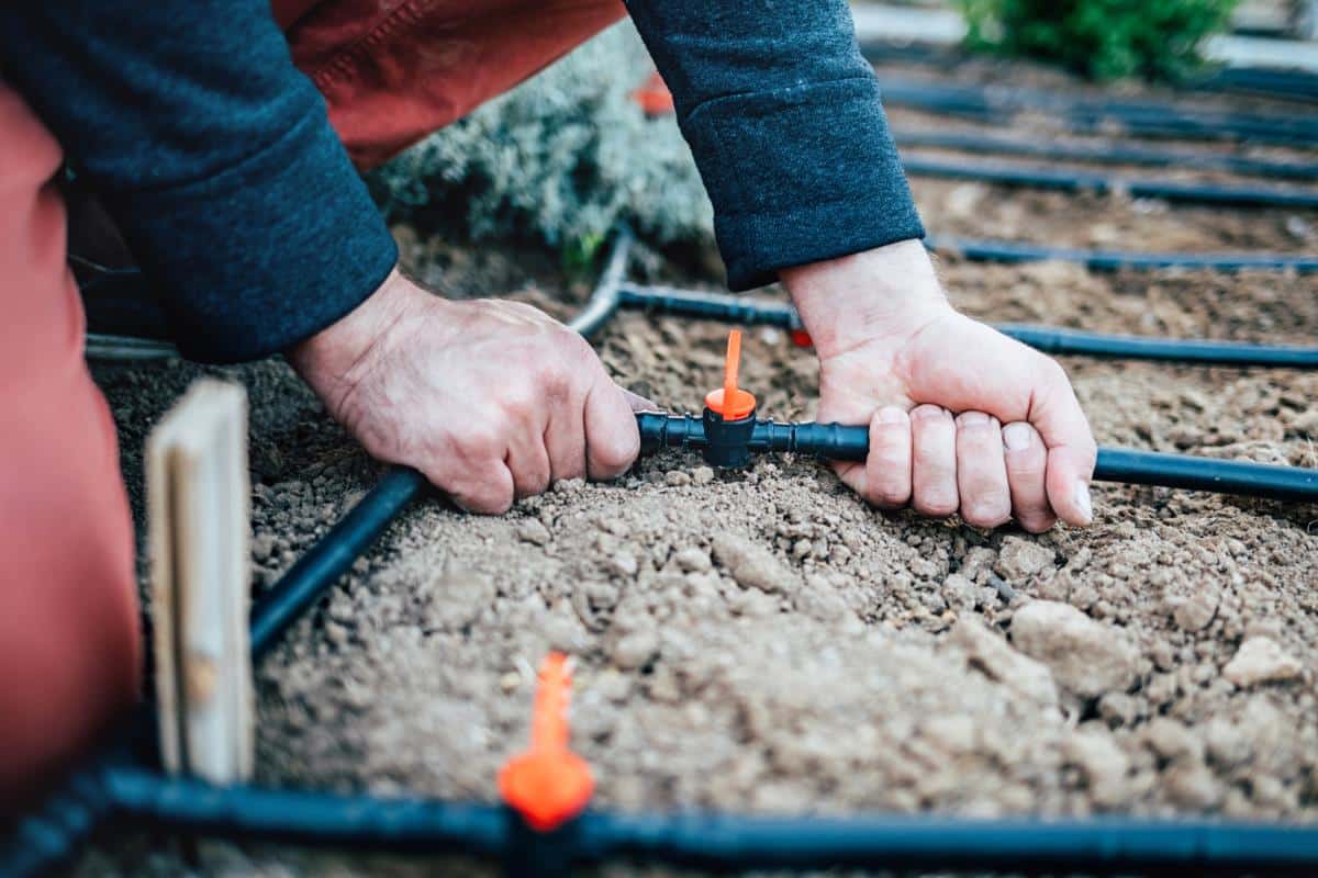 Drip irrigation system being installed