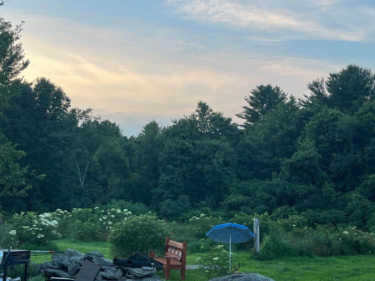 Evening falling on new perennial plantings