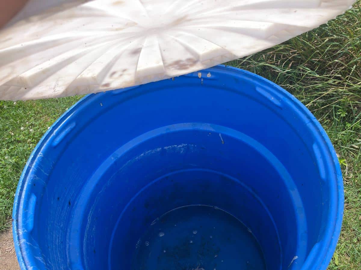 Closing up a barrel with water to use as a seed roller