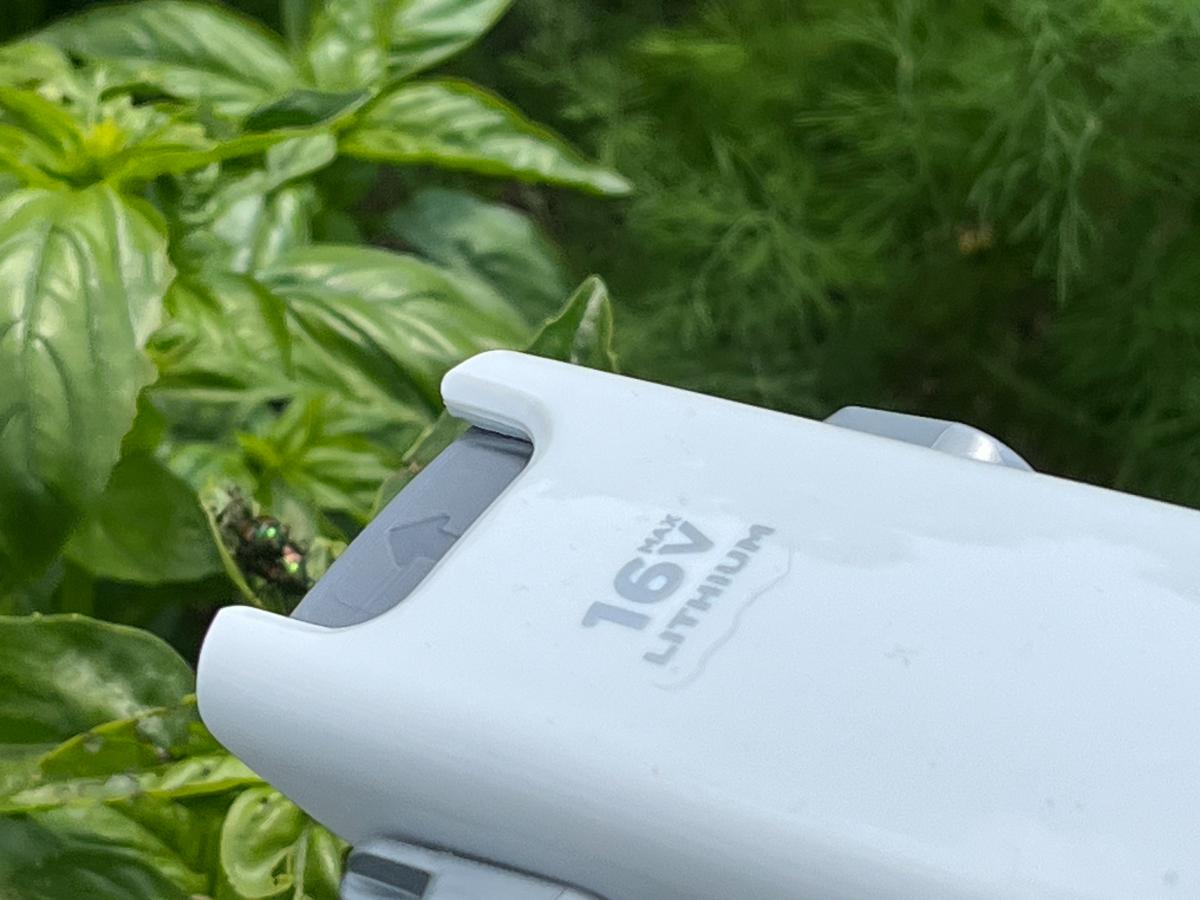 Vacuuming bugs off a plant